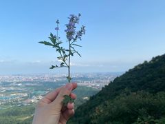 -北京西山国家森林公园