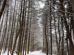 -秦岭风景区
