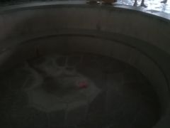 -南宫温泉水世界