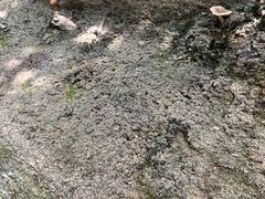 -天津盘山风景名胜区