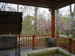 -思念果岭悦温泉