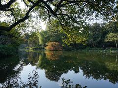 -西湖外事游船(花港观鱼码头)