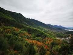 -塔川景区