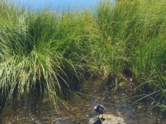-花湖生态旅游区