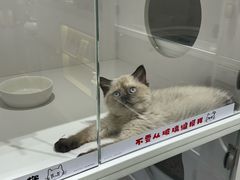-湊湊火锅·茶憩(南京万象天地店)
