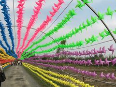 -田园东方蜜桃村的田野营地