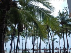 -三亚海韵度假酒店·渔人码头海鲜火锅BBQ自助餐厅·落日吧