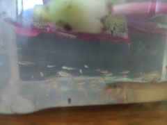-广州体育职业技术学院