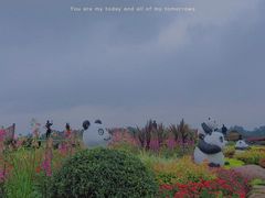 -空港花田景区