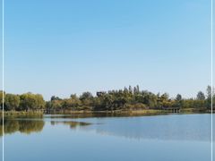 -东郊湿地公园