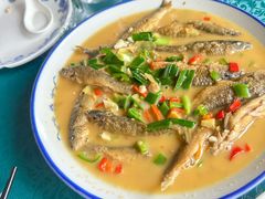 瑶河小鱼-瑶河山里菜