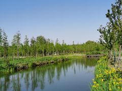 -溱湖国家湿地公园