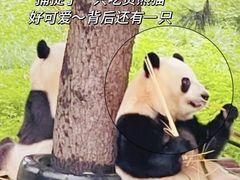-西安秦岭野生动物园