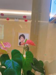 -泉州欧菲医疗美容