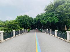 -顺峰山公园