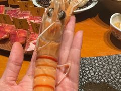 -月龍吟(朝龙汇店)