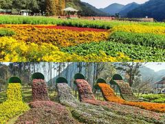 -广州市石门国家森林公园