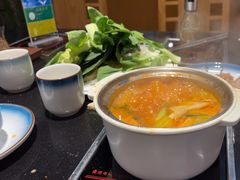 -汉城馆·烤肉火锅餐厅·韩国烤肉(河北云瑧世纪大饭店)
