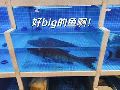 -聚丰园•湖鲜餐厅(阿红私房菜梅石路店)