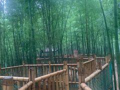 -陶祖圣境风景区
