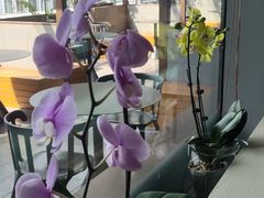 -洋洋中餐馆·SINCE 1997(信投店)