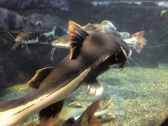 -太平洋海底世界