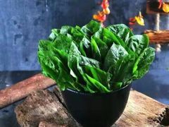 -手选潮汕鲜牛肉火锅(二七广场店)