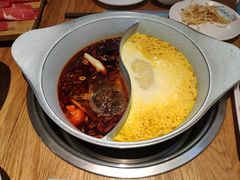 -青瓷火锅料理(西单大悦城店)