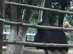 -青藏高原野生动物园