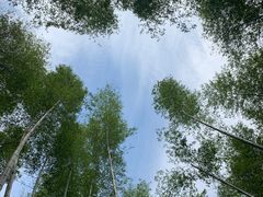-梅岭月亮湾山体公园