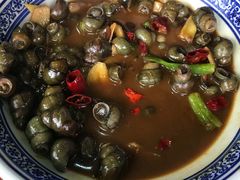 -张鸟园农家乐(张鸟园店)