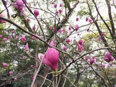 -乌山风景区
