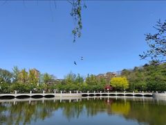 -大连植物园