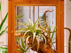 -一尺花园(安和花园店)