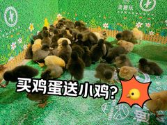 -blt精品超市(上海杨浦合生汇店)