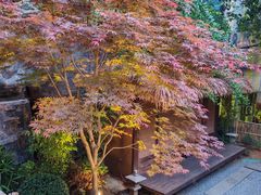 -汤家茗苑·精致私房菜(白沙店)