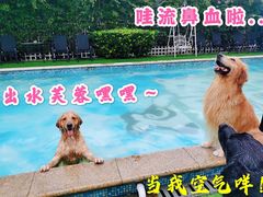 -汪说喵讲宠物乐园宠物酒店(红星美凯龙店)