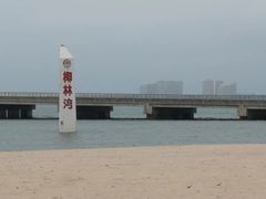 -东郊椰林