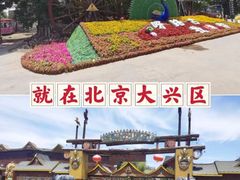-呀路古热带植物园