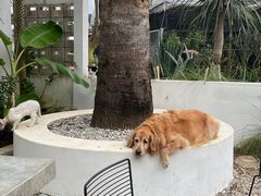 -自由生长植物工作室(深港花卉中心店)