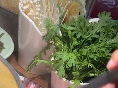 -掂档潮汕牛肉火锅(万象城店)