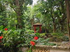 -深圳国际园林花卉博览园