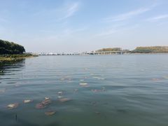 -丁香湖公园