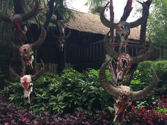 -云南民族村