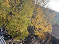 -南山风景名胜区