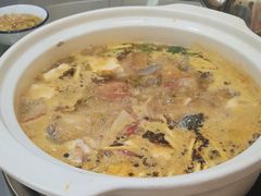 -黑河坝泡姜鸡贡椒鱼(贾旗路店)