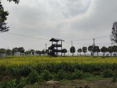 -莲花岛景区