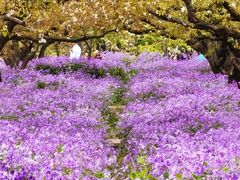 -江苏三台山国家森林公园