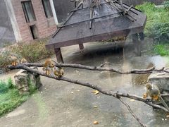 -上方山森林动物世界
