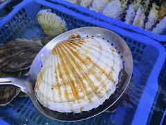 -震海贝烤贝·民俗特色店(延吉总店)